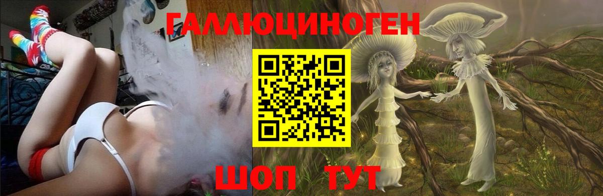 Псилоцибиновые грибы GOLDEN TEACHER Клинцы
